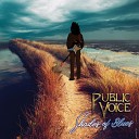 Public Voice - Shades of Blues