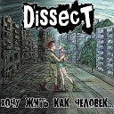 Dissect - Путь к успеху