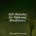Guided Meditation Music Zone Massagem Cole o de M sicas Relaxing Sleep… - Dusk in the Distance