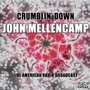John Mellencamp - Rain On The Scarecrow Live