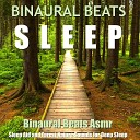 Binaural Beats Sleep - Soft Ambient Sleep Sounds