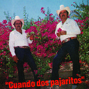 Cuates Banda - Borracho Perdido