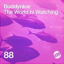 Buddynice - Mad Love Redemial Mix