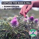 Capture the Bass Hill - Sunnydrops