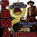 El Puma De Sinaloa - Roberto Perez