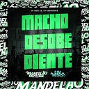 DJ Reis ZS DJ Rodrigues - Macho Desobediente