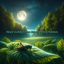 Night Sounds Ruidos De Sonidos Blancos Sound of… - Crickets in the Moonlight A Soothing Sleep…