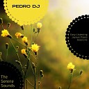 Pedro Dj - Piano Romance For The Night