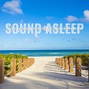 Elijah Wagner - Relaxing Summertime Empty Beach Ambience Pt…