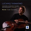 Orchestra Filarmonica Pugliese Giovanni Rinaldi Luciano… - Concerto in C Major Hob VII b 1 III Allegro…