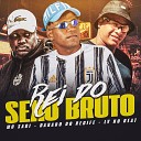 Danado do Recife LV no Beat feat Mc saci - Rei do Sexo Bruto