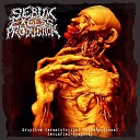 Sebum Excess Production - Dermatological Putrefaction Symphony