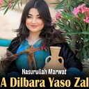Nasurullah Marwat - Raza Ba Chere