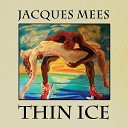 Jacques Mees - Cracks on the Ice