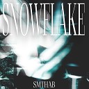 smthab - Snowflake