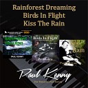 Paul Kenny - Kiss The Rain