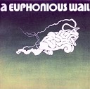 A Euphonious Wail - Night Out