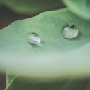 Rain for Deep Sleep Sounds of Nature White Noise for Mindfulness Meditation and Relaxation Nature Sounds Nature… - Peaceful Morning Dew