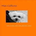 Max Callioni - Ely Pinny and the Gentle Rain