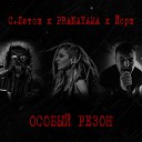 PRANAYAMA cover Янка Дягилева - Особый резон