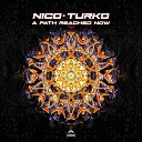 Nico Turko - A Path Reach Now