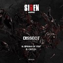 Dissect - Dream Of You