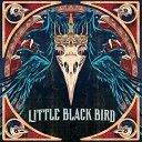 Little Black Bird - Come Undone