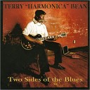 Terry Harmonica Bean - Why You Do Me Like Me Like You Do