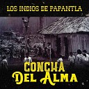 Los Indios De Papantla - La Mal Casada