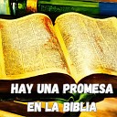 Julio Miguel Grupo Nueva Vida - Hay una Promesa en la Biblia