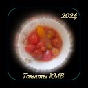 Томаты КМВ Кавказские Минеральные… - Сколько сортов томатов нужно для полного счастья Радиоверсия 2024…