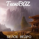 TecnoBAZ - В январе