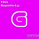 T PE3 - Acquaviva Original Mix