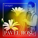 Pavel Rosu - Brau de ses