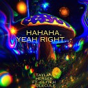 Taylan Hersek feat Glitch Molecule - Hahaha Yeah Right