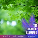 The Beautiful Bluebirds - Playful Meadows in Harmony