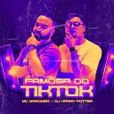 DJ HARRY POTTER Mc Maromba - Famosa do Tiktok