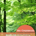 Nu Crepuscolo - Sparkling Rays of April