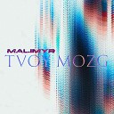 MALIMYR - TVOY MOZG prod by anthony palmer