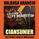 Ciansunier feat Pistini Tantrici Molecolari - VALANGA ARANCIO