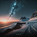 Way 8 - Borealis