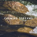 4D Nature Recordings - Hear the Streamside
