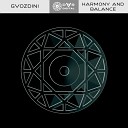 Gvozdini Harmony And Balance Original Mix - Gvozdini Harmony And Balance Original Mix