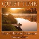 Steve Quinzi - Tranquil Rain