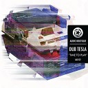 Dub Tesla - Time to Play