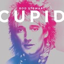 Rod Stewart - Love in the Right Hands