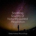 Deep Relaxation Meditation Academy Studying Music Academia de M sica con Sonidos de la… - Ambient Lullabies