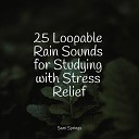 Bedtime Baby The Relaxing Sounds of Swedish Nature Meditation Stress Relief… - Windy Rainy Streets