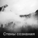 Виталий Русавук - Walls of Consciousness