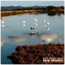 More Yellow Birds - New Shores Remix